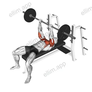 Barbell JM Bench Press exercise targeting Upper Arms and Triceps Brachii