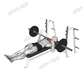 Barbell Larsen Press exercise targeting Chest