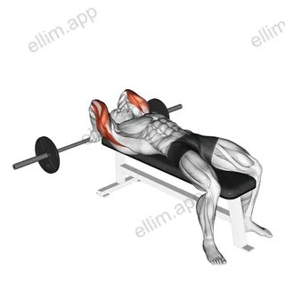 Barbell Lying Back of the Head Tricep Extension exercise targeting Upper Arms