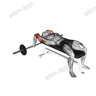 Barbell Lying Close grip Triceps Extension exercise targeting Upper Arms