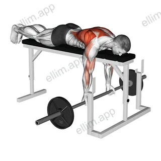 Barbell Lying Close Grip Underhand Row on Rack exercise targeting Back