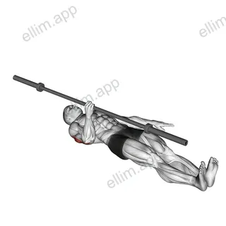 Barbell One Arm Floor Press exercise targeting Upper Arms and Triceps Brachii