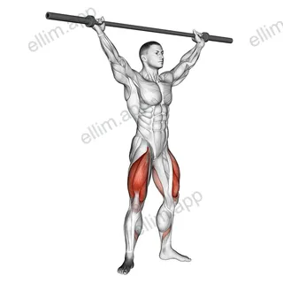 Barbell Overhead Squat exercise targeting Thighs and Quadriceps