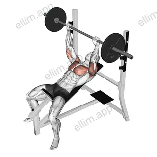 Barbell Pause Incline Bench Press exercise targeting Chest and Pectoralis Major Clavicular Head