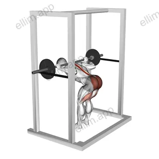 Barbell Pin Good Morning exercise targeting Thighs