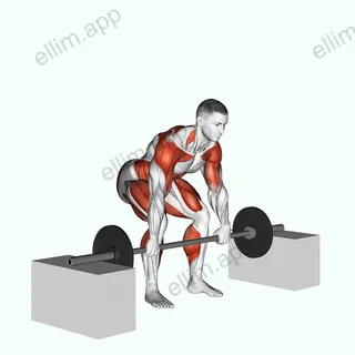 Barbell Power Clean from Blocks exercise targeting Weightlifting and Adductor Magnus
