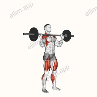 Barbell Power Jerk exercise targeting Weightlifting and Adductor Magnus