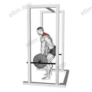 Barbell Power Shrug exercise targeting Back