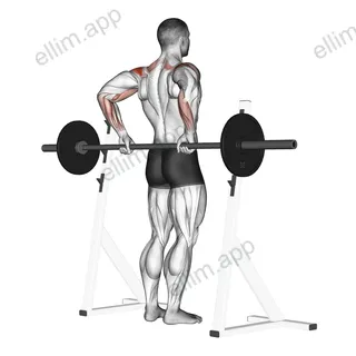 Barbell Rear Delt Raise exercise targeting Shoulders and Deltoid Posterior