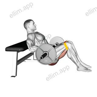 Barbell Resistance Band Hip Thrust exercise targeting Hips