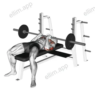 Barbell Reverse Close-grip Bench Press exercise targeting Upper Arms and Triceps Brachii