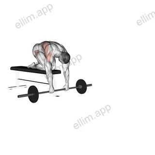 Barbell Rollout from Bench exercise targeting Waist and Iliopsoas
