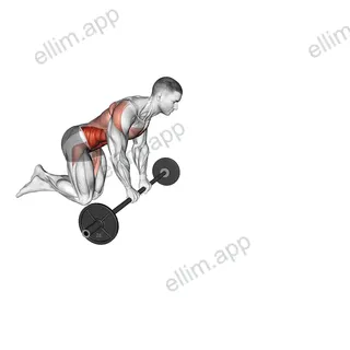 Barbell Rollout exercise targeting Hips and Iliopsoas