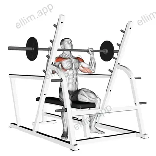 Barbell Seated Military Press (inside squat cage) exercise targeting Shoulders and Deltoid Anterior