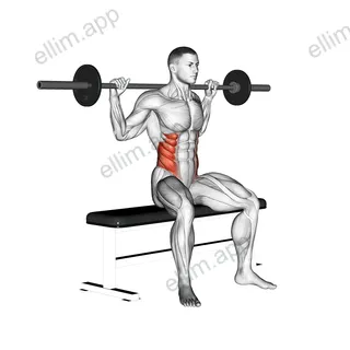 Barbell Seated Twist exercise targeting Waist and Obliques