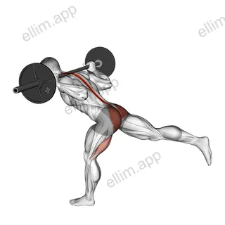 Barbell Single Leg Good Morning exercise targeting Thighs