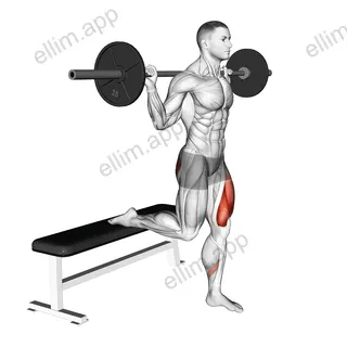 Barbell Single Leg Split Squat exercise targeting Hips and Gluteus Maximus