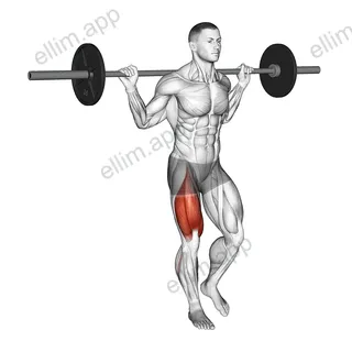 Barbell Single Leg Squat exercise targeting Thighs