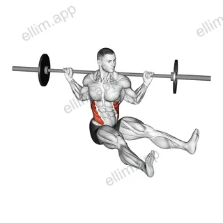 Barbell Sitting on Floor Oblique Twist exercise targeting Waist