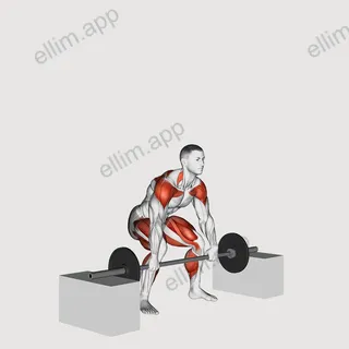 Barbell Snatch from Blocks exercise targeting Weightlifting and Adductor Magnus
