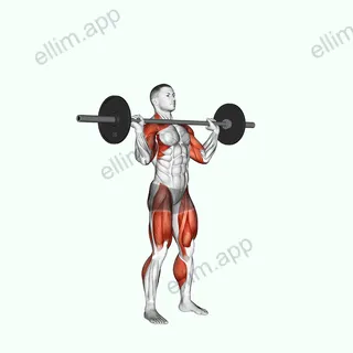 Barbell Split Jerk exercise targeting Weightlifting and Adductor Magnus