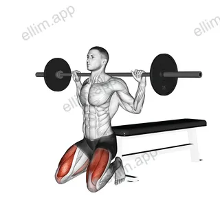 Barbell Squat (on knees) exercise targeting Thighs and Quadriceps