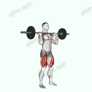 Barbell Squat to Shoulder Press exercise targeting Thighs