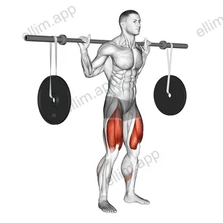 Barbell Squat (with hanging band technique) exercise targeting Thighs and Gluteus Maximus