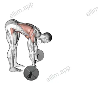 Barbell Standing ab rollout exercise targeting Waist