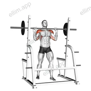 Barbell Standing Military Press exercise targeting Shoulders and Deltoid Anterior