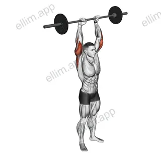 Barbell Standing Overhead Triceps Extension exercise targeting Upper Arms and Triceps Brachii