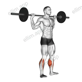 Barbell Standing Rocking Leg Calf Raise exercise targeting Calves and Gastrocnemius