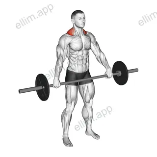 Barbell Standing Snatch Grip Shrug exercise targeting Back