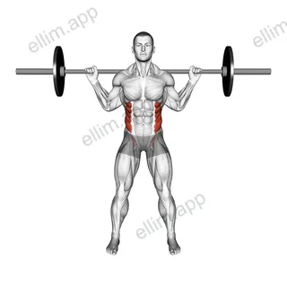 Barbell Standing Twist exercise targeting Waist and Obliques