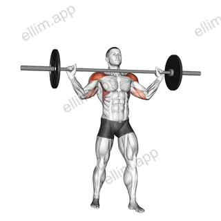 Barbell Standing Wide Military Press exercise targeting Shoulders and Deltoid Anterior