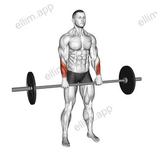 Barbell Standing Wrist Reverse Curl exercise targeting Forearms