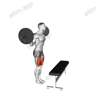 Barbell Step up exercise targeting Thighs