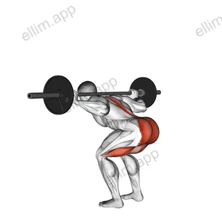 Barbell Stiff Leg Good Morning exercise targeting Thighs and Erector Spinae