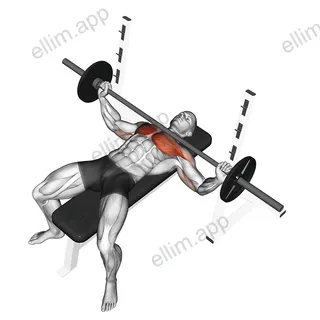 Barbell Wide Bench Press exercise targeting Chest and Pectoralis Major Sternal Head