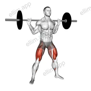 Barbell Wide Squat exercise targeting Thighs and Quadriceps