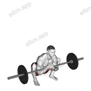 Barbell Zercher Deadlift exercise targeting Hips
