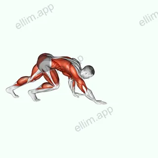 Bear Crawl exercise targeting Cardio