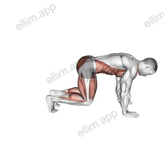 Bear Plank Kickback exercise targeting Hips
