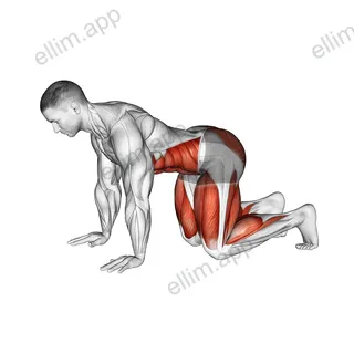 Bear Plank exercise targeting Waist