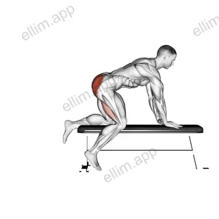 Bench Hip Extension exercise targeting Hips and Gluteus Maximus