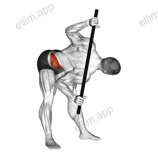Bent Over Twist exercise targeting Waist and Obliques