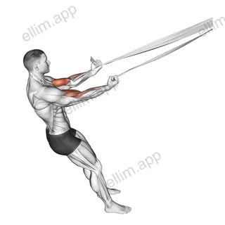 Biceps Curl with Bed Sheet exercise targeting Upper Arms and Biceps Brachii