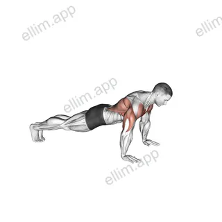 Bird Dog Push-Up exercise targeting Chest