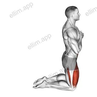 Body Extension exercise targeting Hips and Thighs