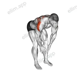 Bodyweight Bent Over Rear Delt Fly exercise targeting Shoulders